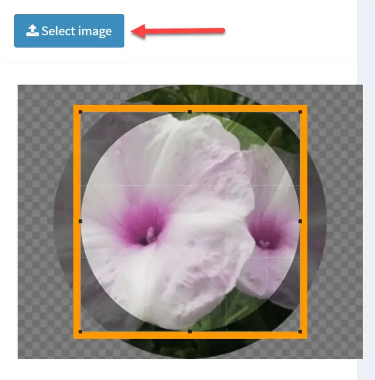 crop a image into a circle online