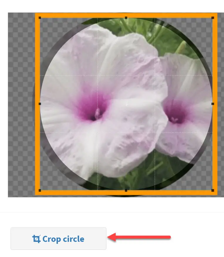 use image online to crop a picture into circle