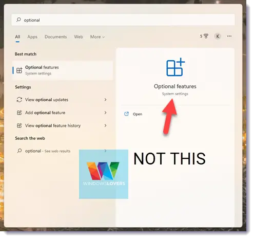 not-this-optional-features-windows-11